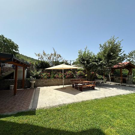 Apartmani Stanisic Čanj Exterior foto